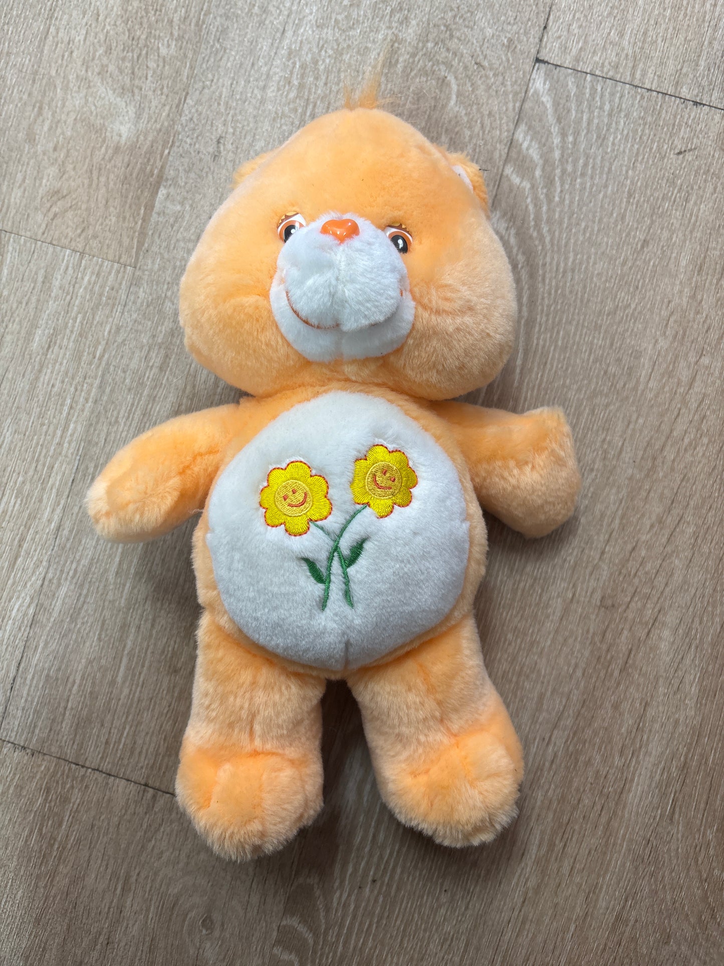 Toy - VINTAGE Care Bear / Friend Bear - Large