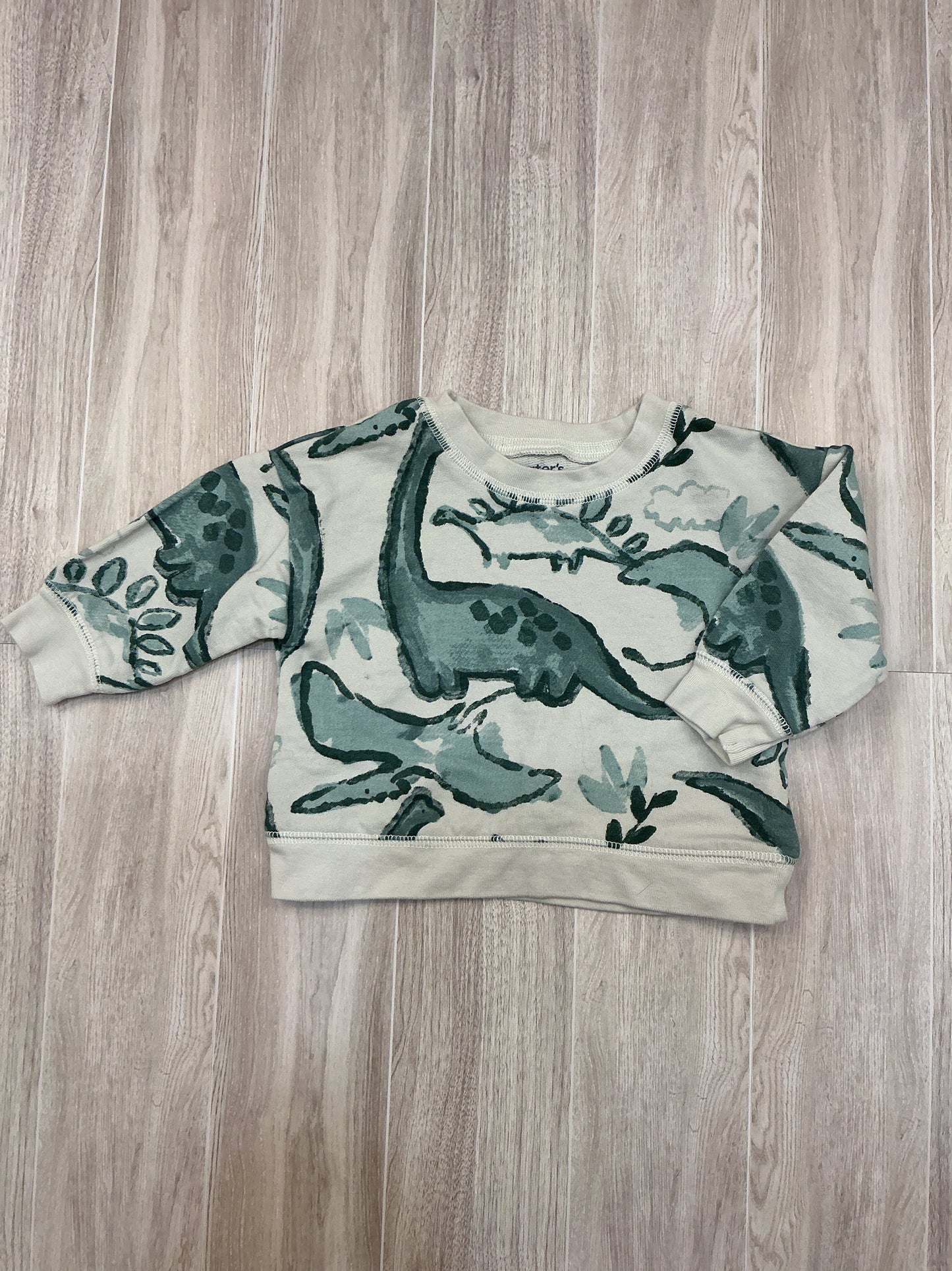 6m Dinosaur Crewneck