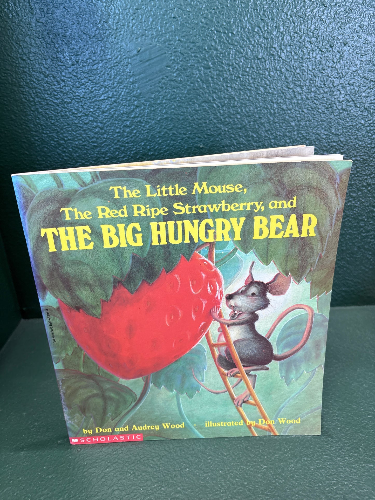 Book - The Little Mouse, The Red Ripe Strawberry, and The Big Hungry Bear