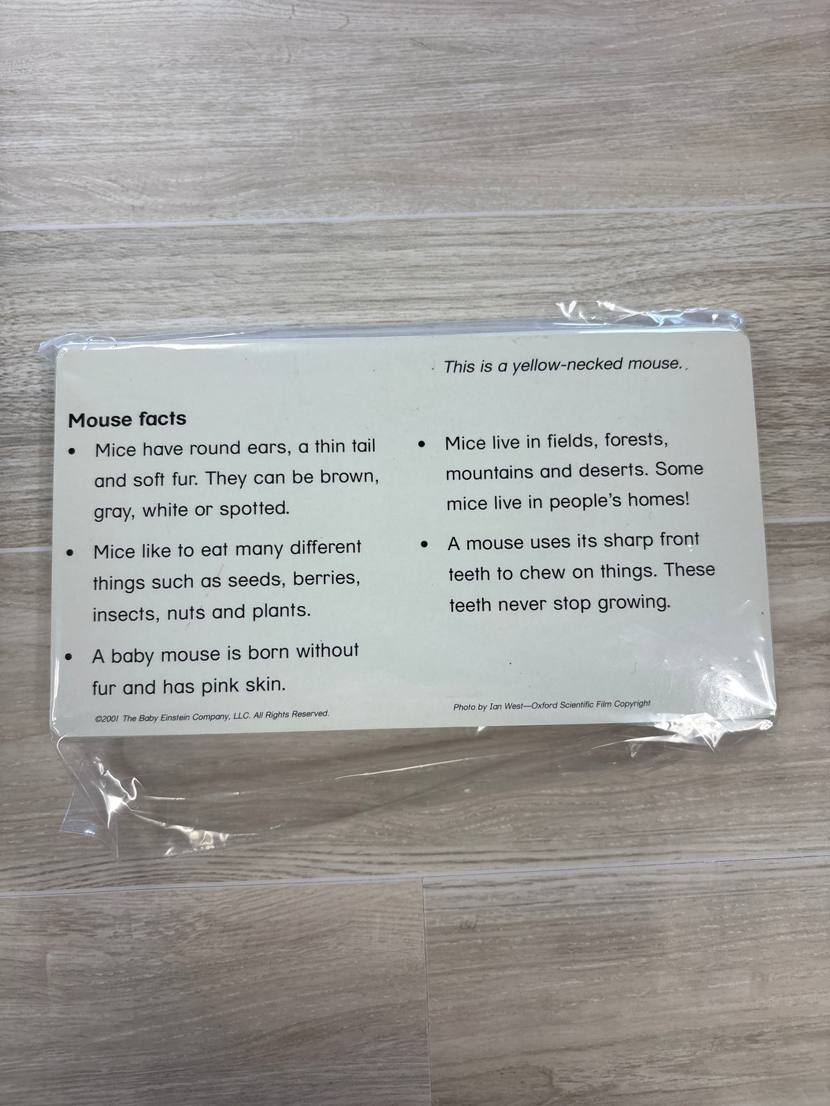 Toy - Animal Flashcards