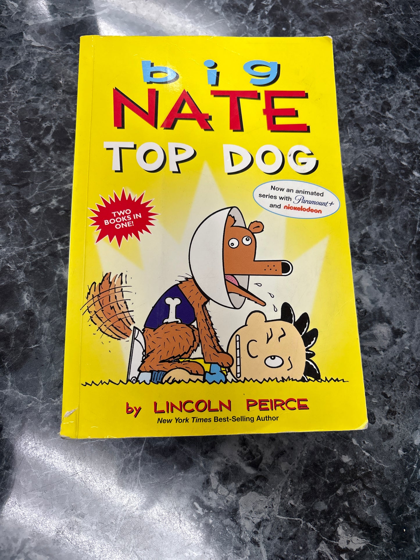 Book - Big Nate Top Dog