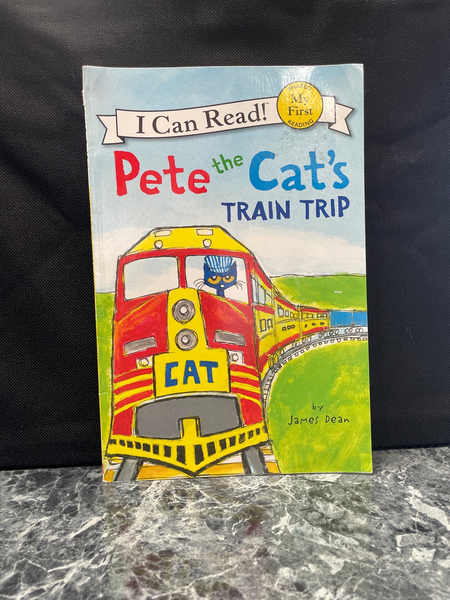 Book - Pete The Cat's Train Trip