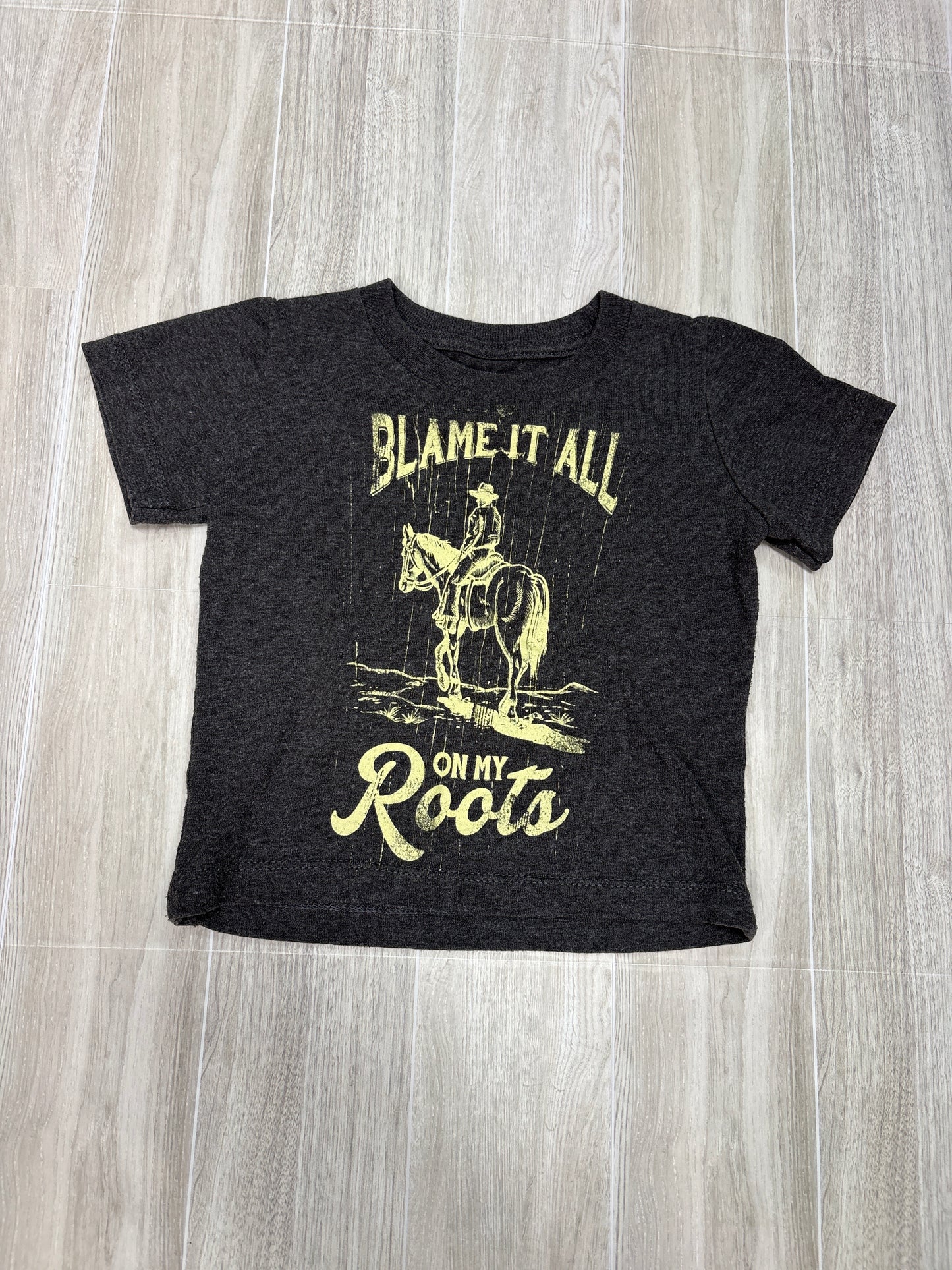12m Blame It All On My Roots Graphic Shirt