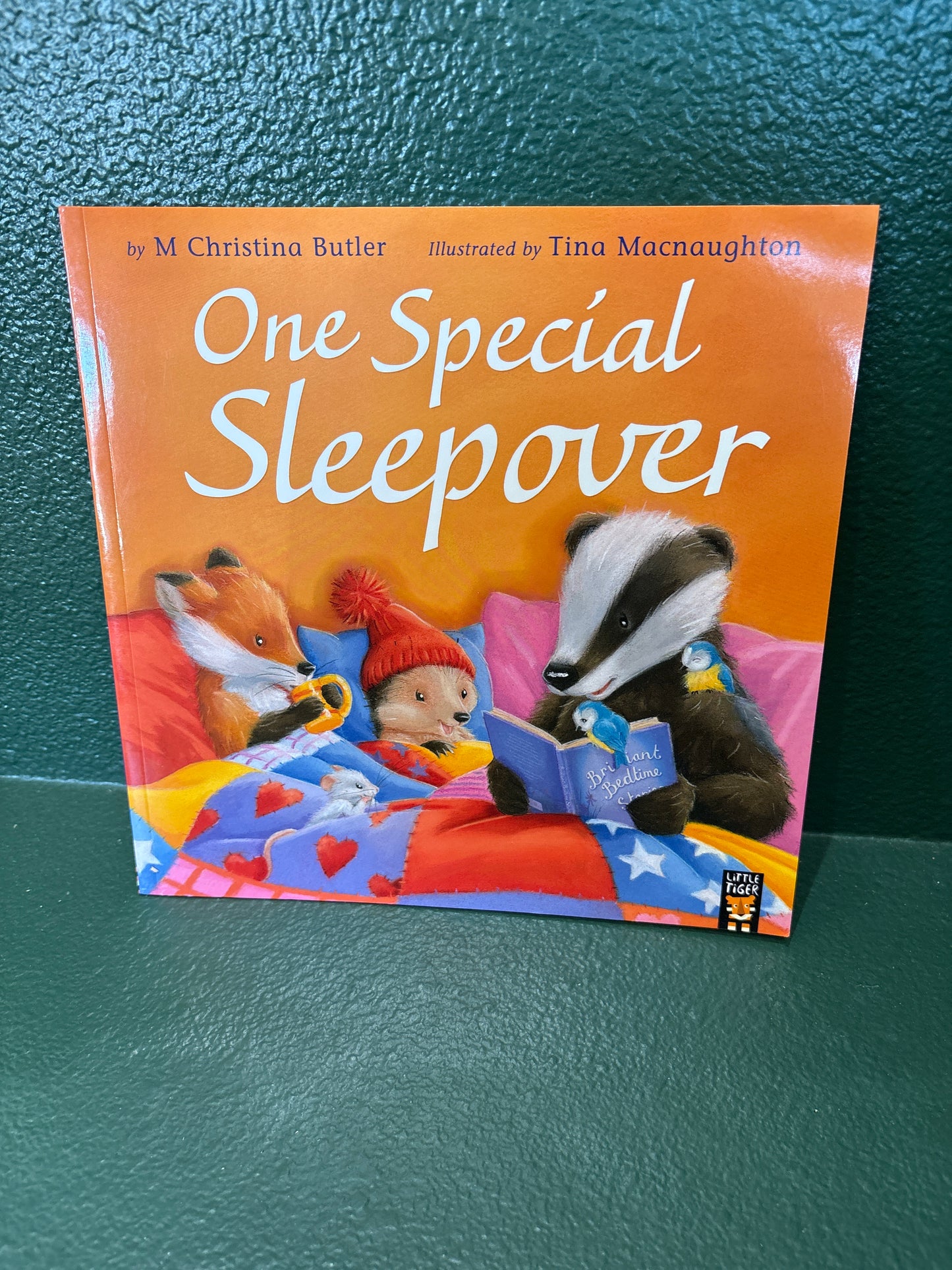 Book - One Special Sleepover