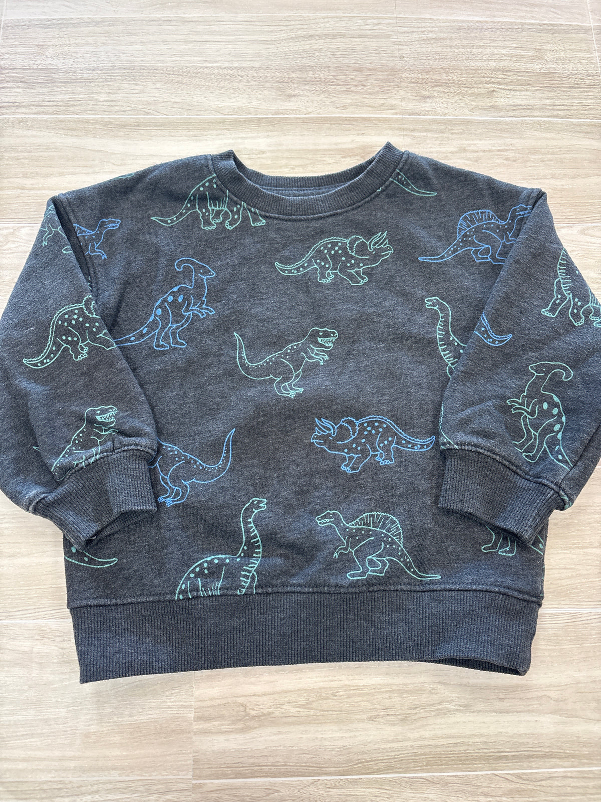 2T Charcoal Grey Multi Dino Crewneck