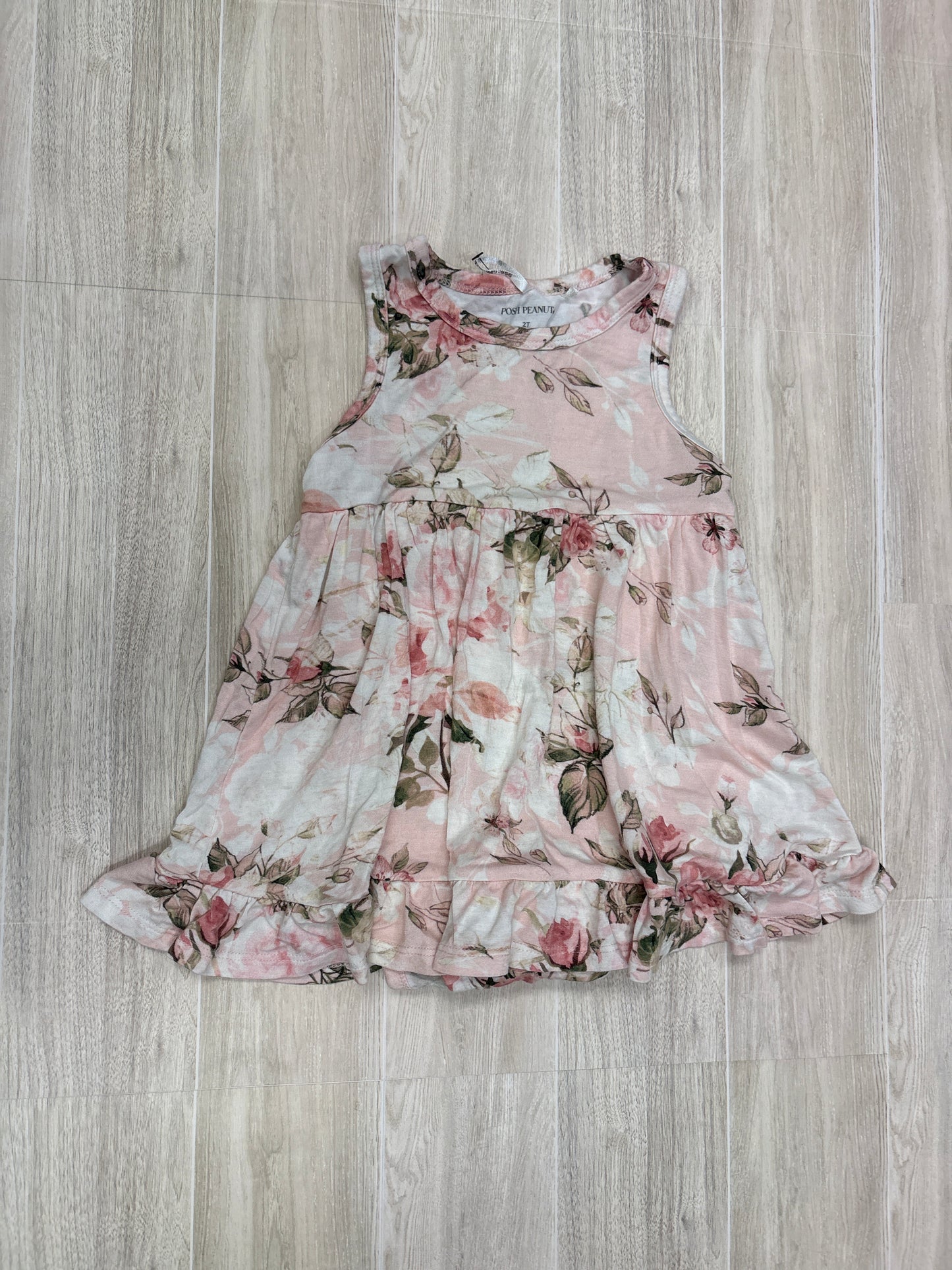 2T Posh Peanut Pink Roses Onesie Twirl