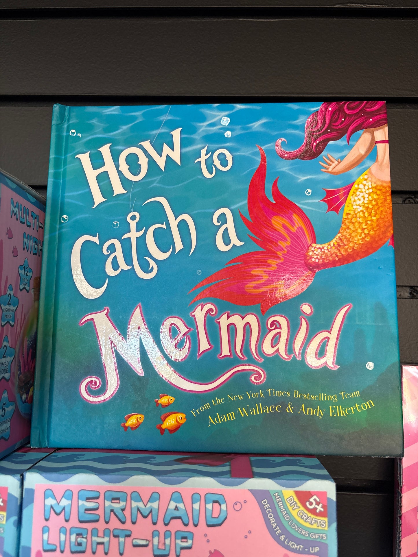 Book - How to Catch a Mermaid