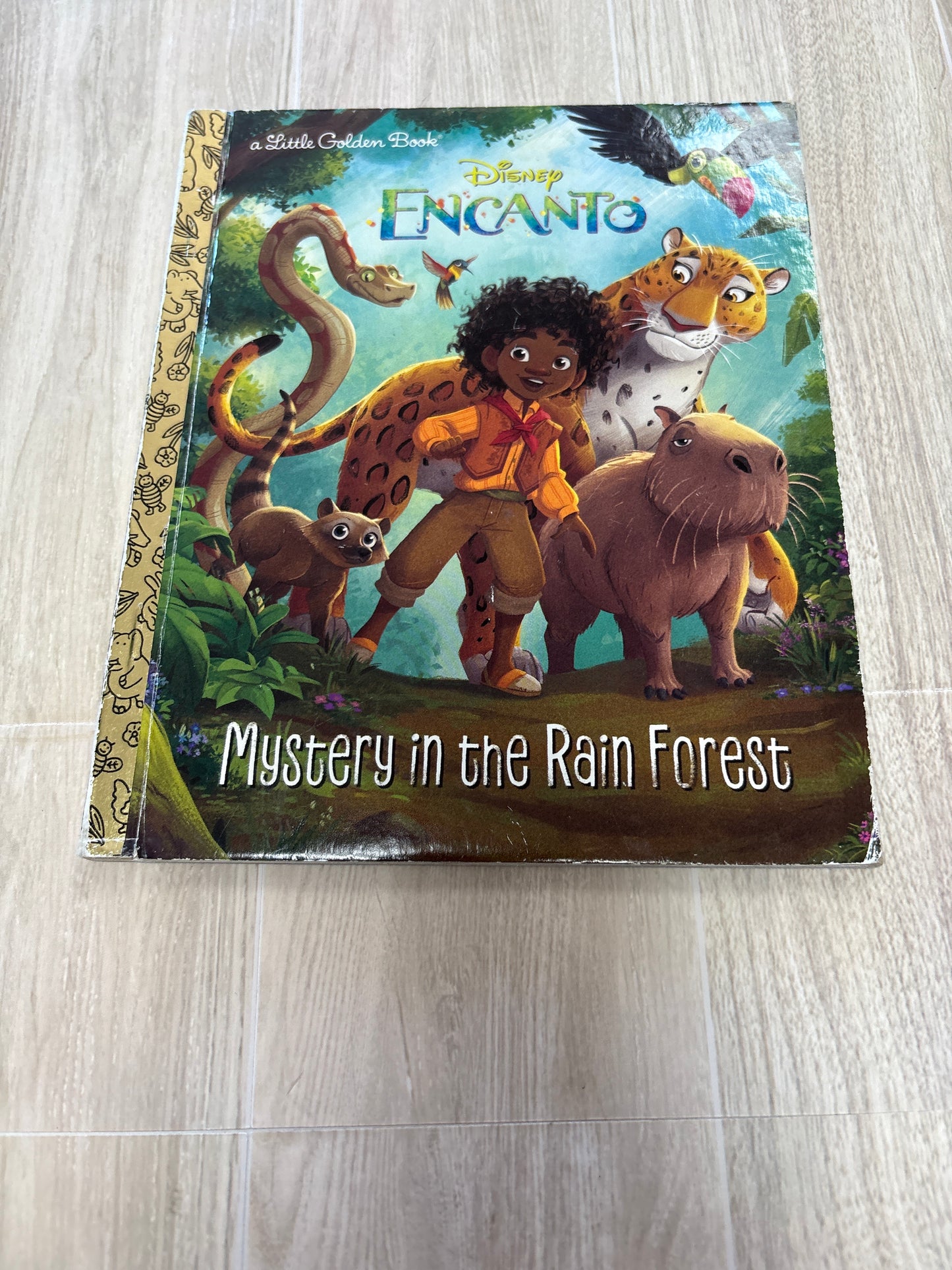 Book - Encanto
