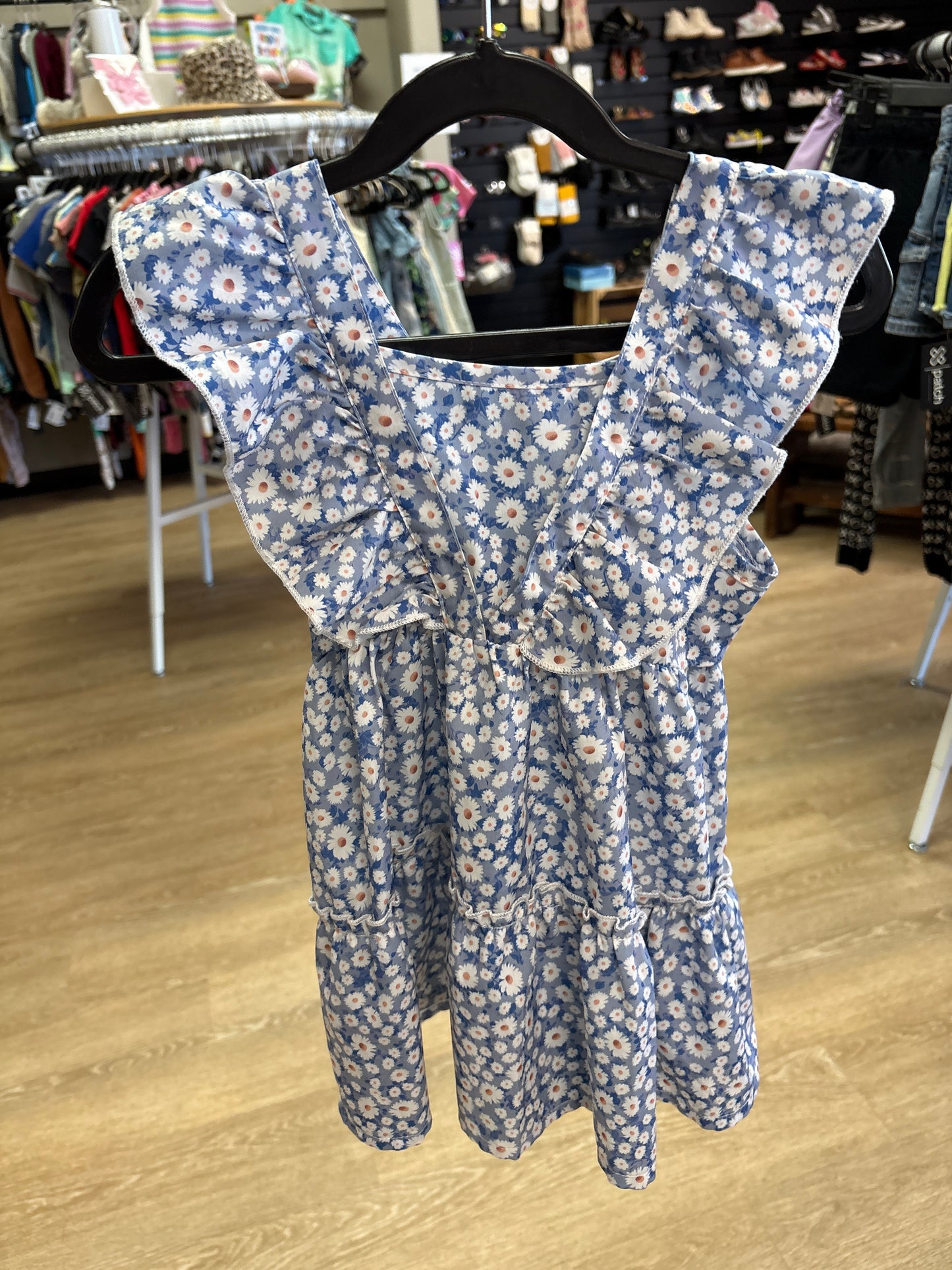 3/4T Blue Daisies Dress
