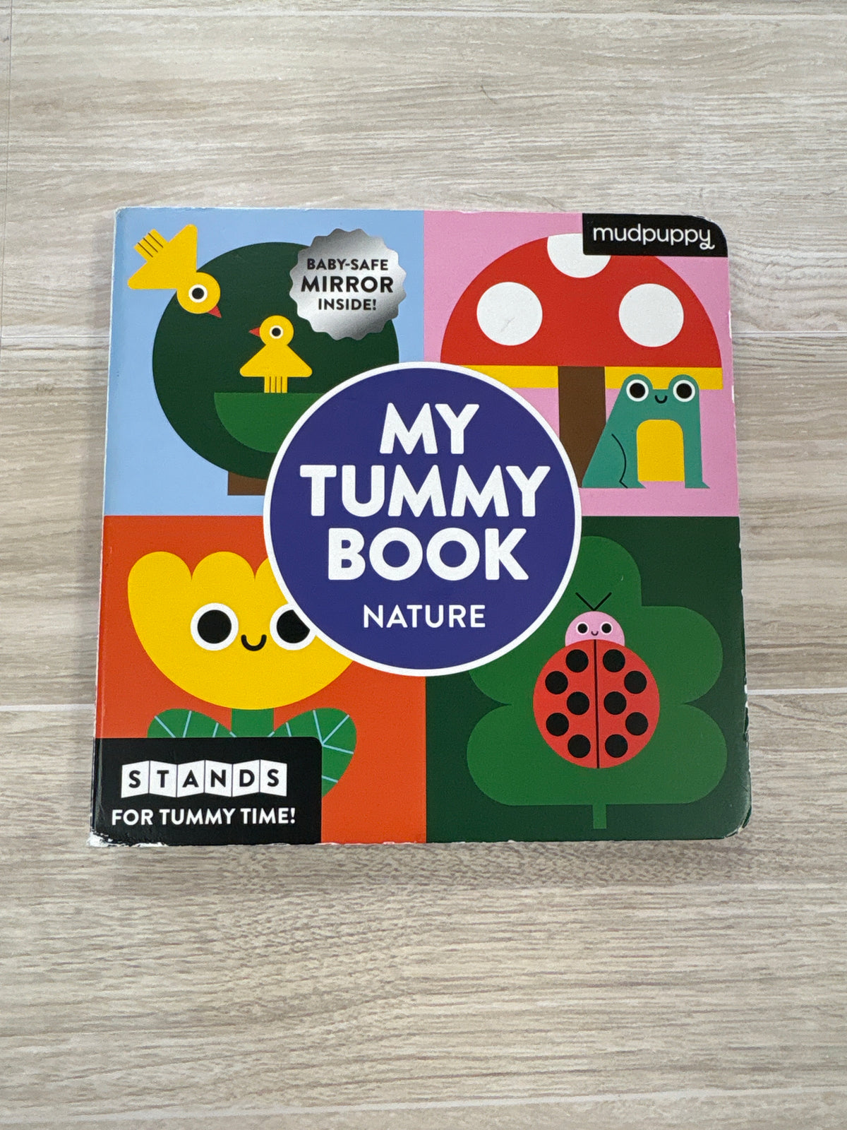 Book - My Tummy Book