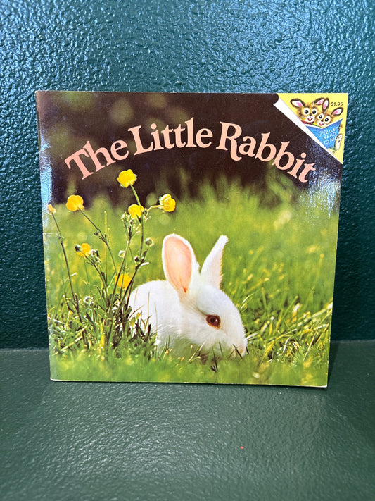 Book - The Little Rabbit