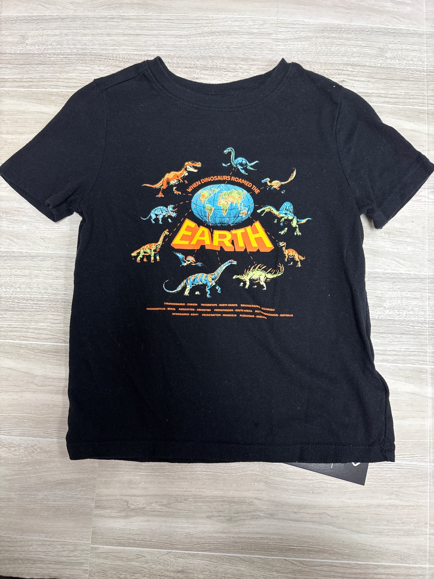 5T Dinosaurs Roamed The Earth Graphic Shirt