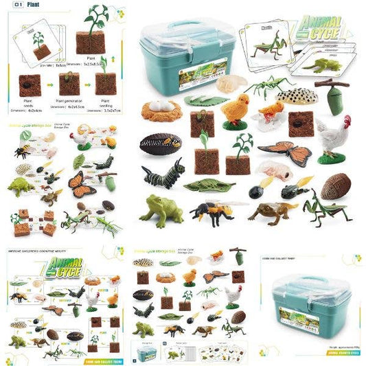 Animal Growth Cycle Science Kit