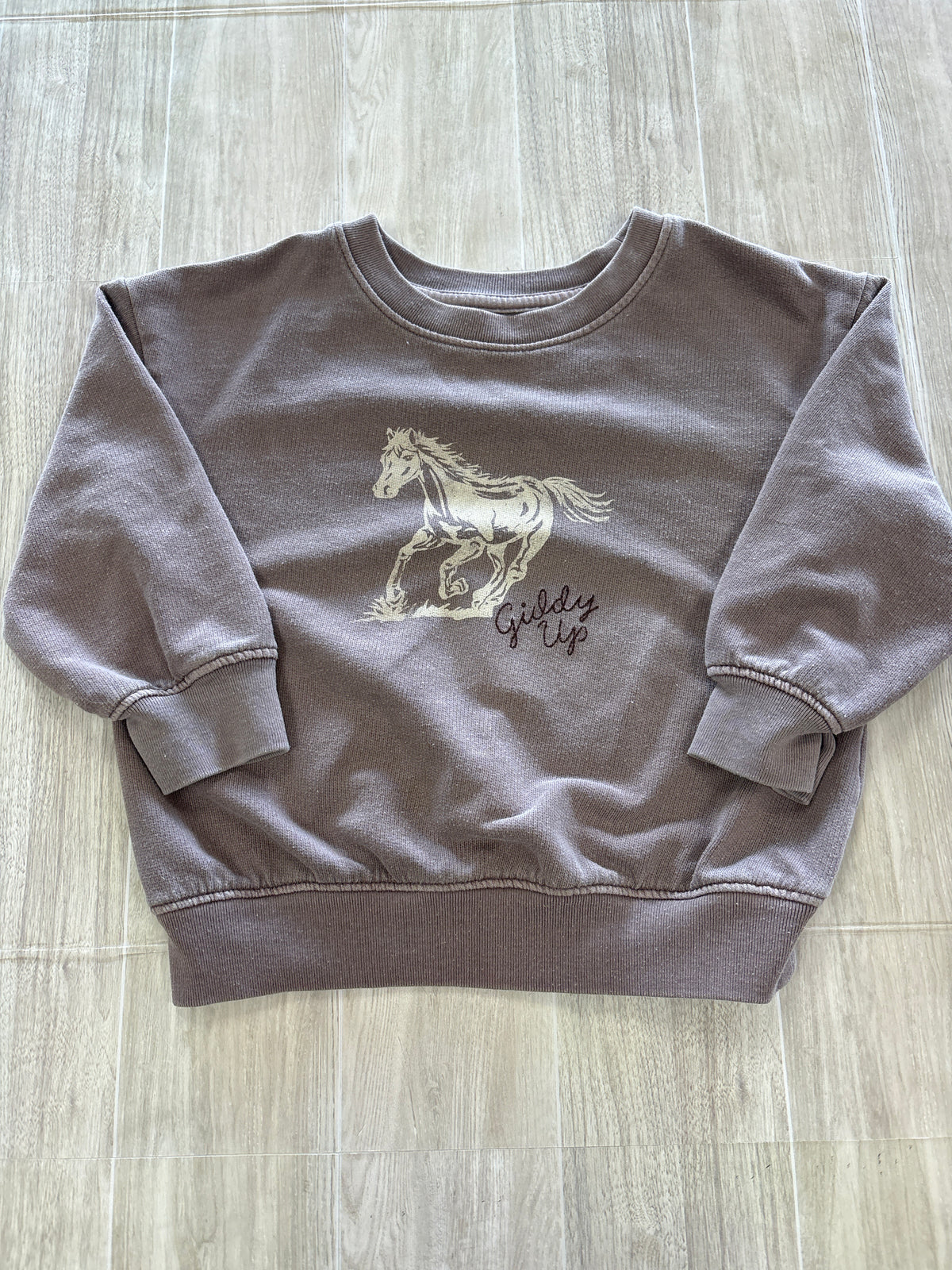 2T Mocha Giddy Up Crewneck