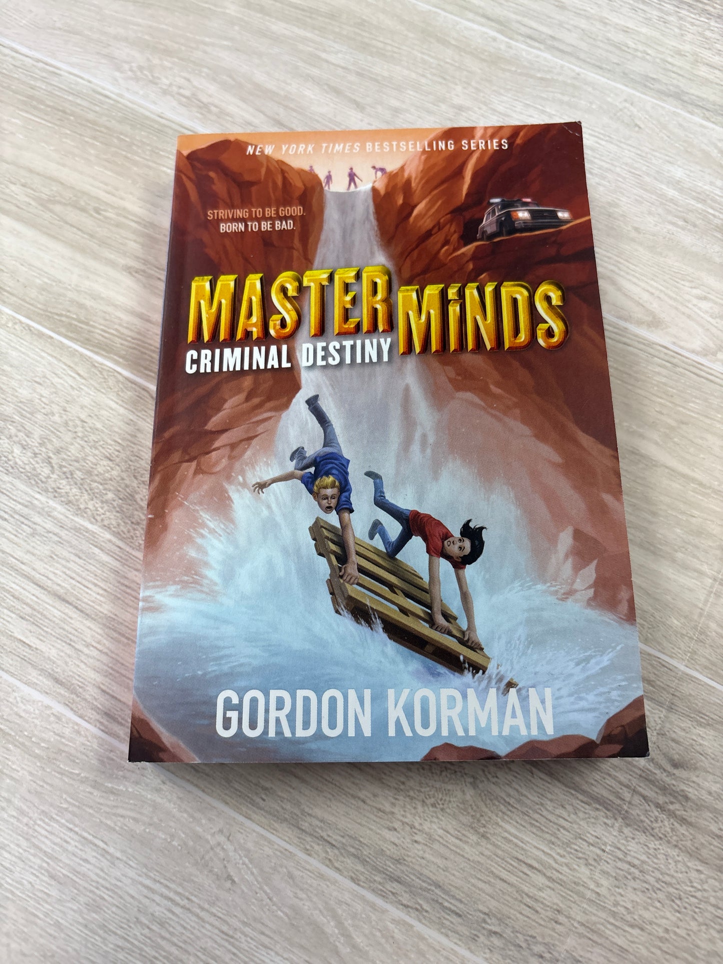 Book - Master Minds - Criminal Destiny
