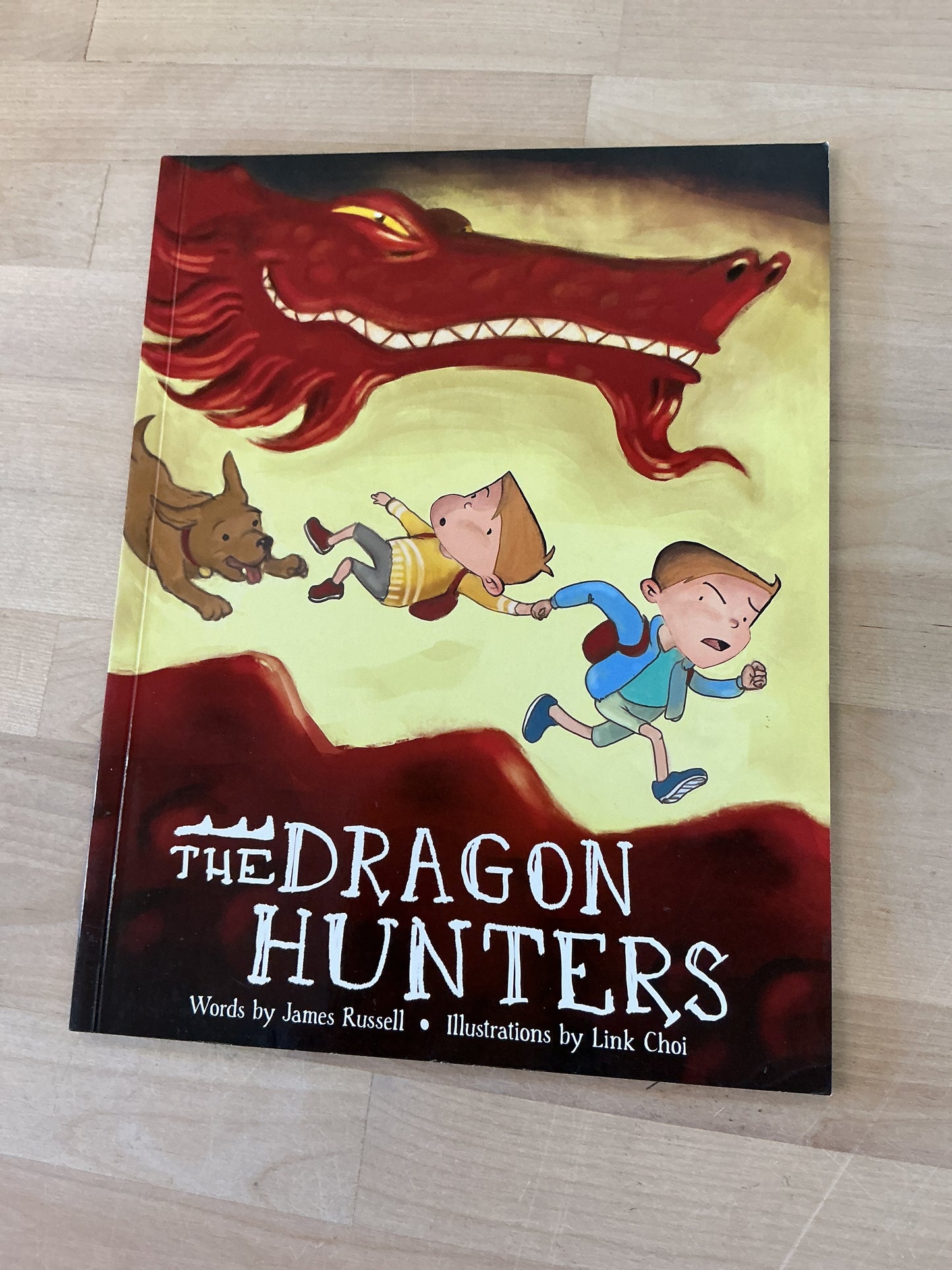 Book - The Dragon Hunters
