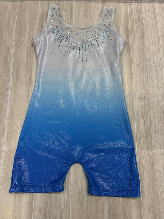 7/8 Blue/White Ombre Sparkle Leotard