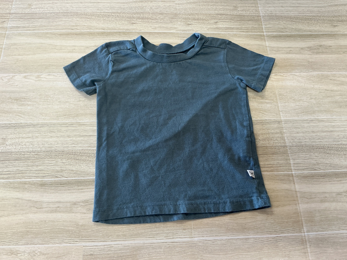 12m Honest Co Basic Shirt - Dusty Blue