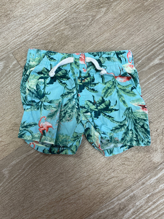6-12m Blue Palm Flamingo Shorts