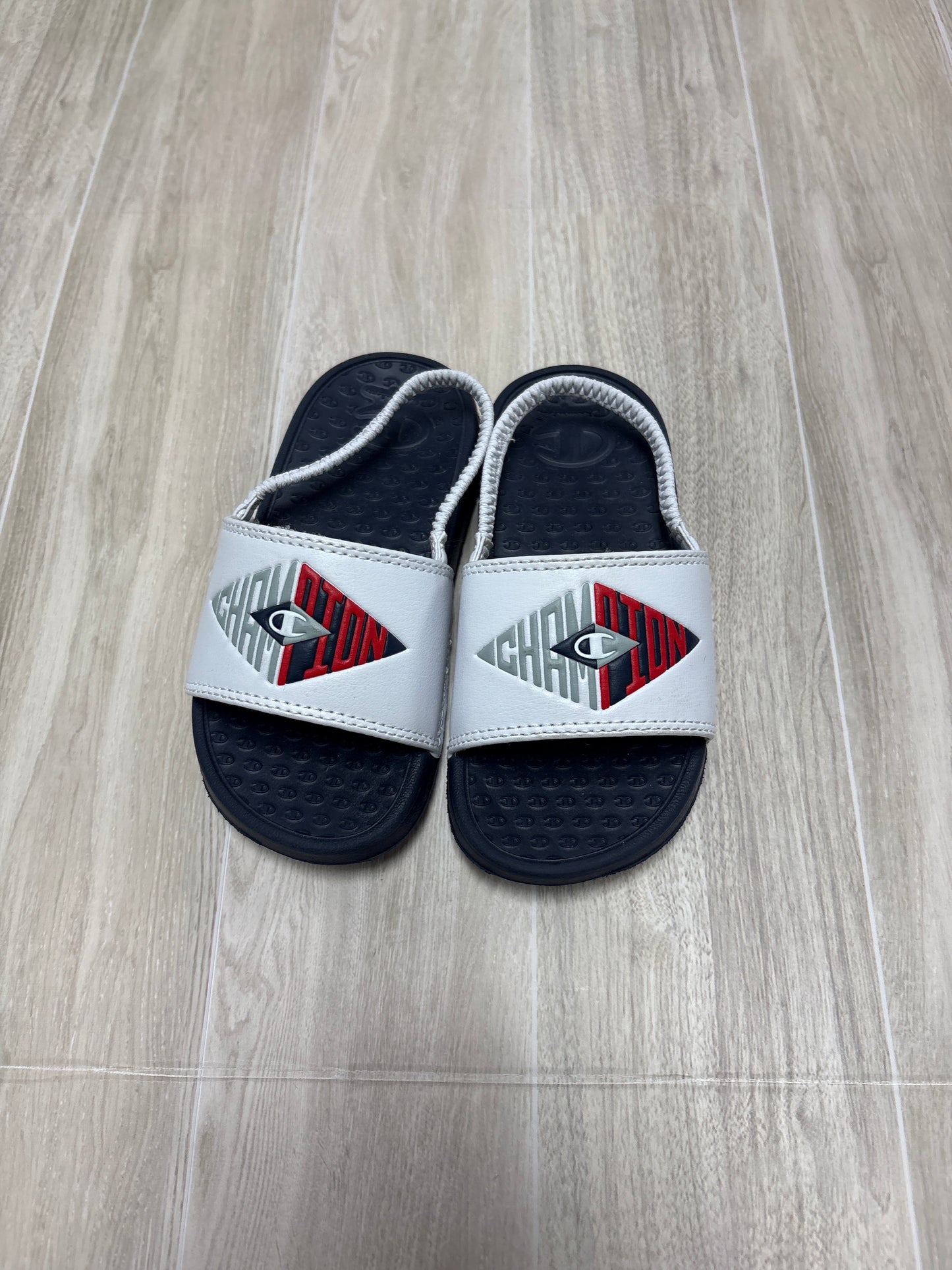 9c Champion Navy/White Slides