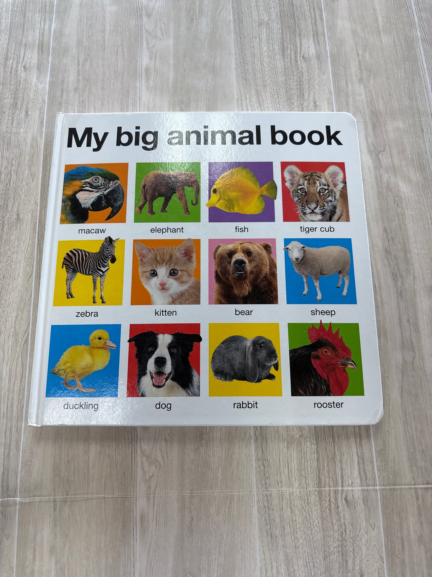 Book - My Big Animal Book