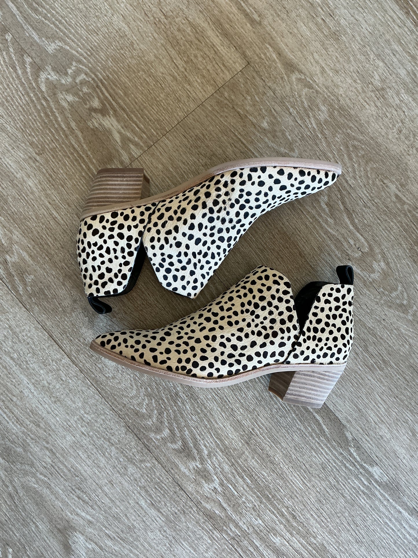NWT Womens 6.5 Dolce Vida Real Cowhide Spotted Bootie
