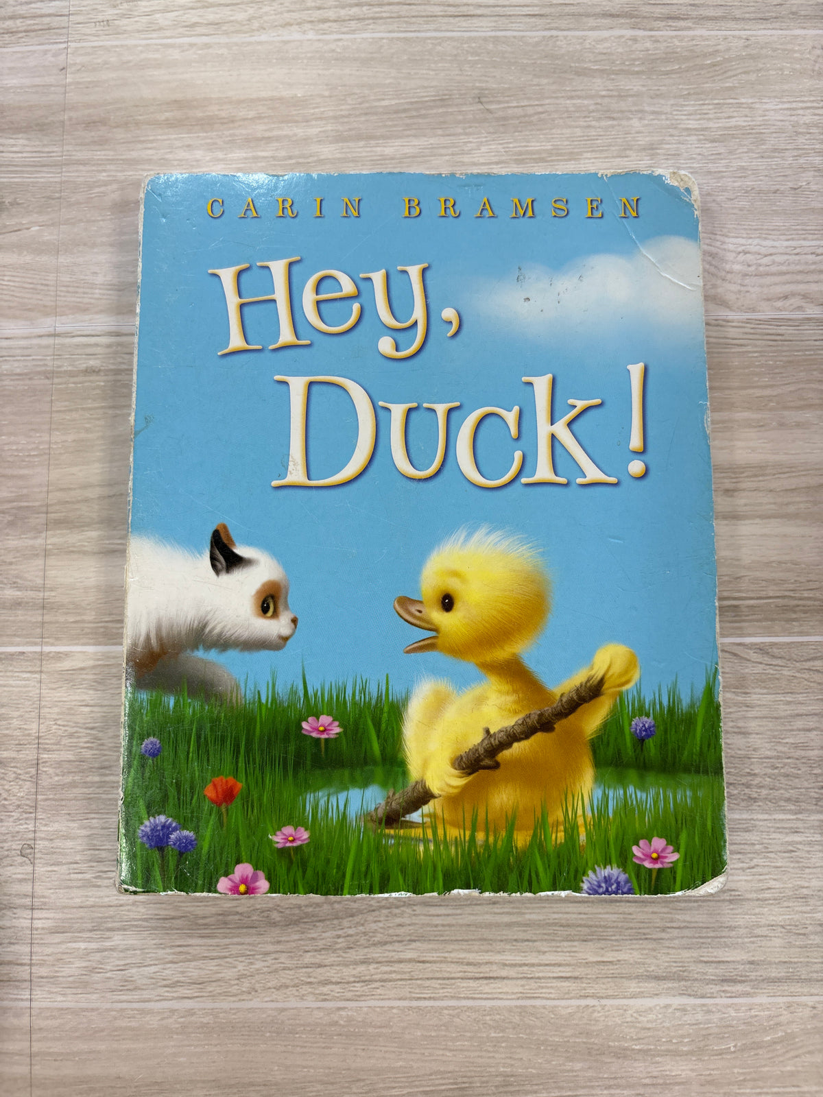 Book - Hey Duck! - Blemish