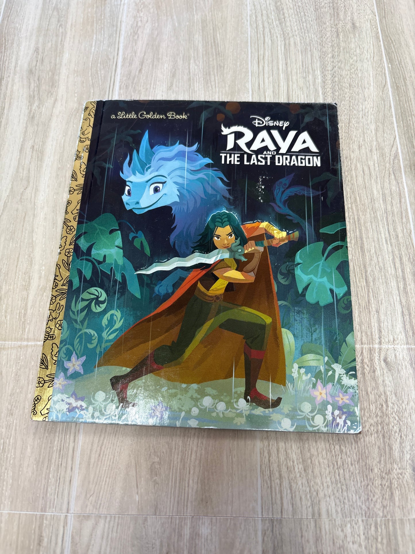 Book - Raya And The Last Dragon