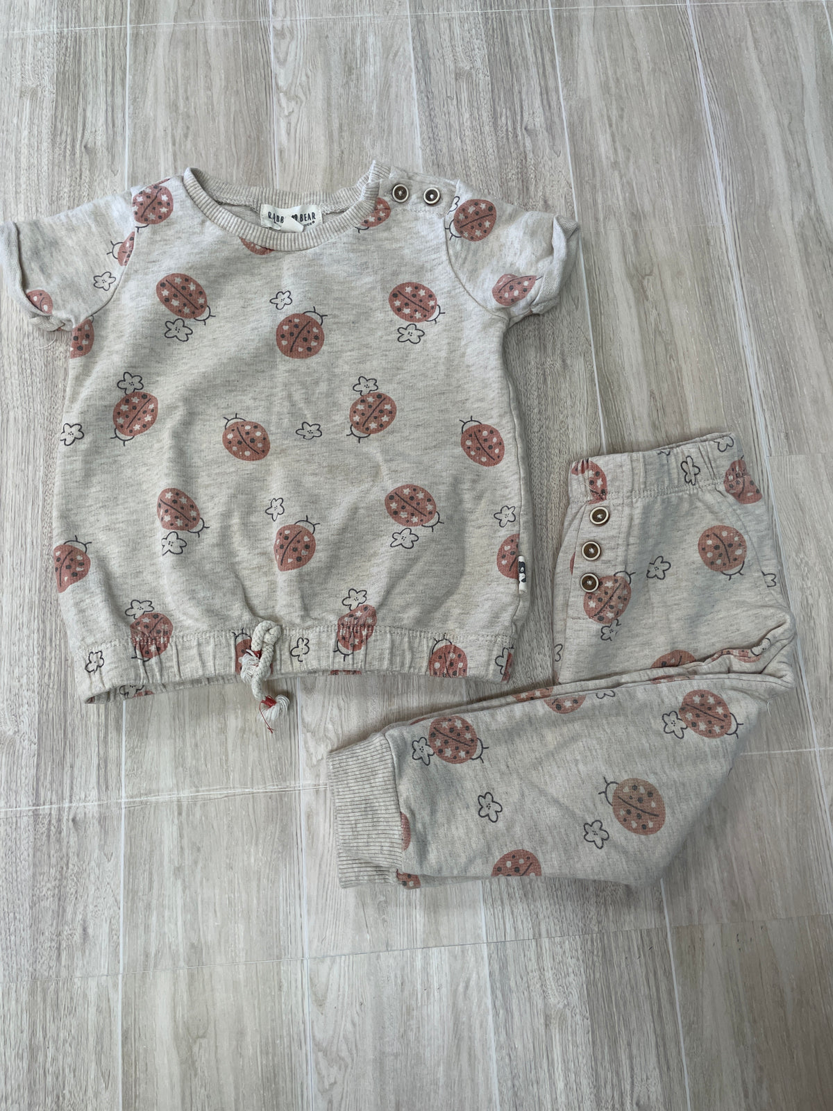 18m Rabbit + Bear Heathered Cream Ladybug 2 Piece Set