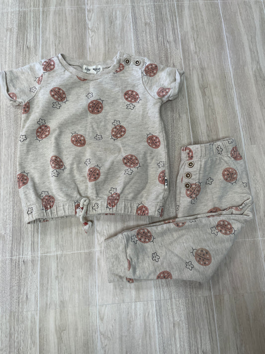 18m Rabbit + Bear Heathered Cream Ladybug 2 Piece Set