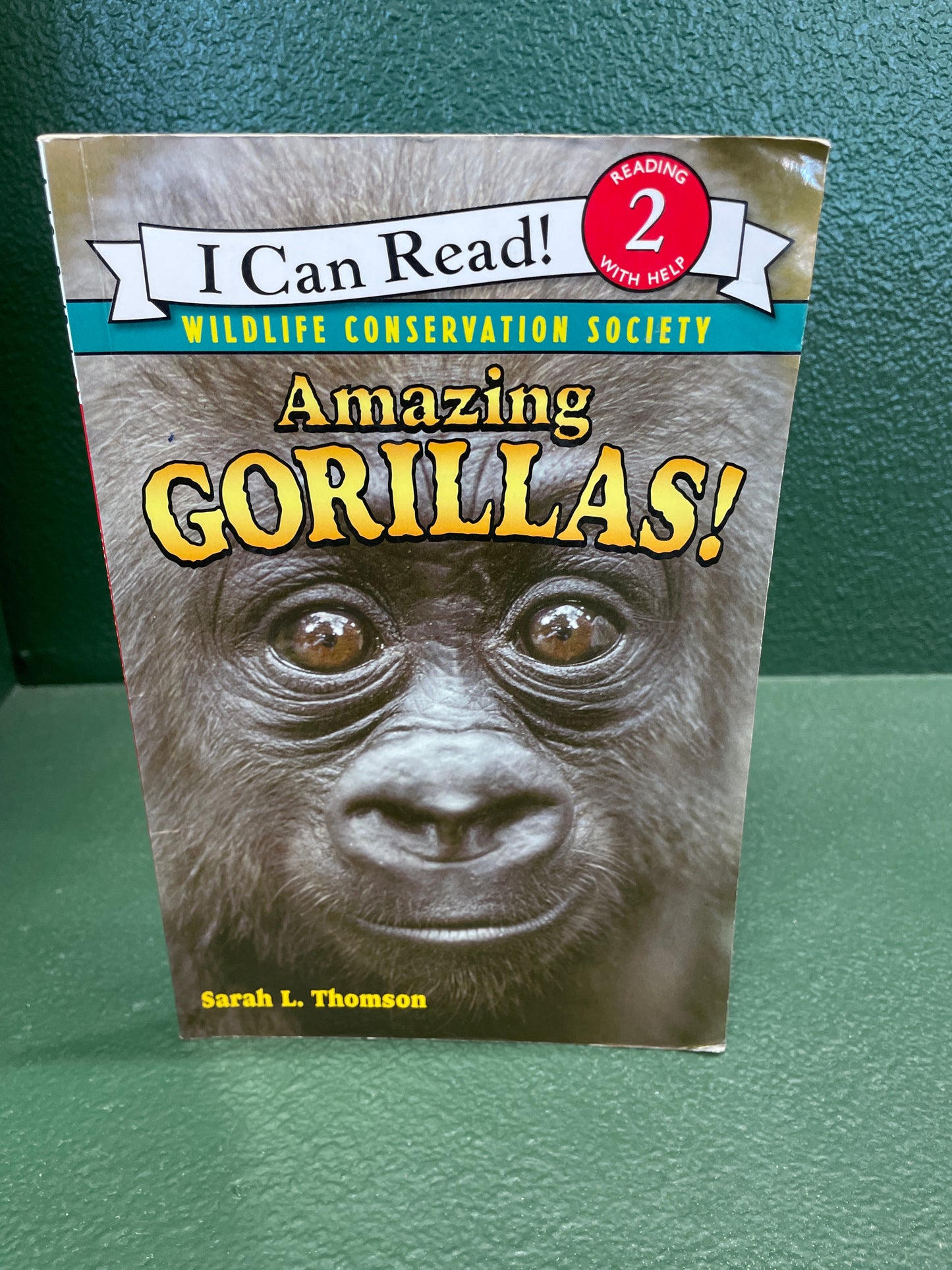 Book - Amazing Gorillas!