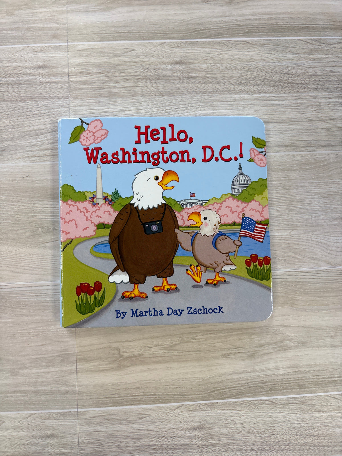 Book - Hello, Washington D.C.!