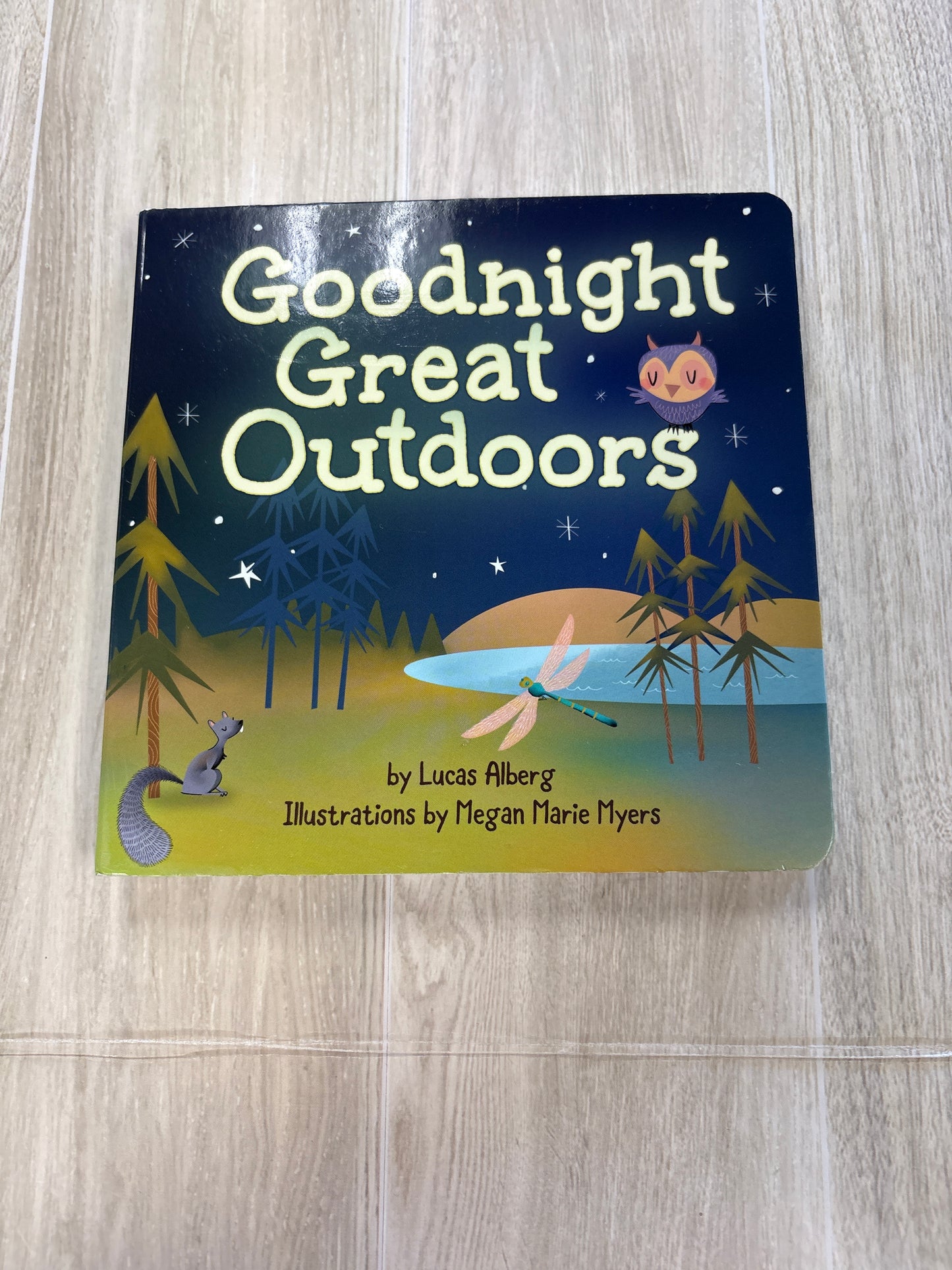 Book - Goodnight Great Outdoors