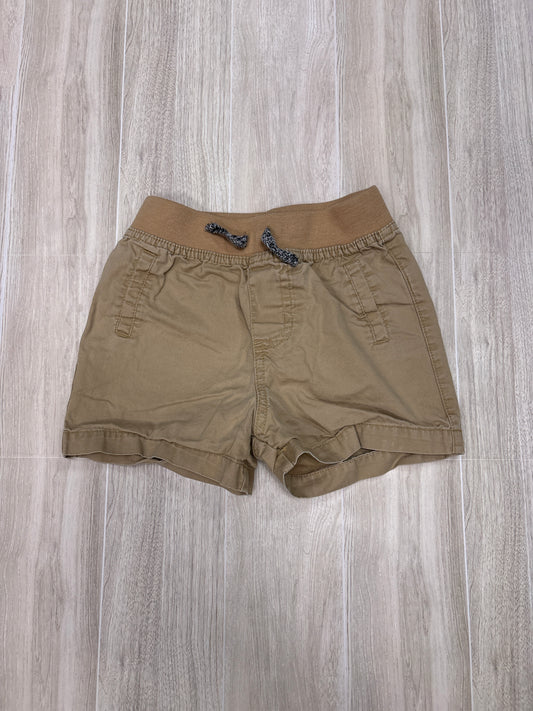 12m Tan Elastic Waist Shorts
