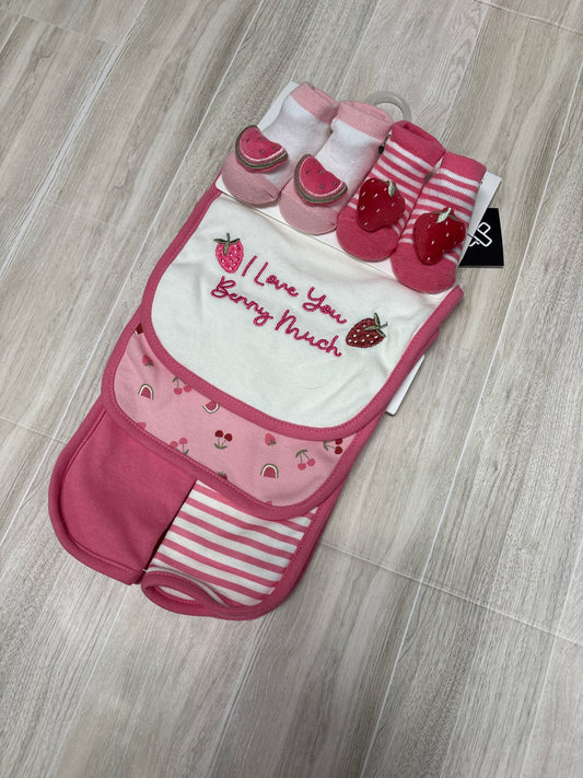 NWT Sock+Bib+Cloth Berry 6 Pack