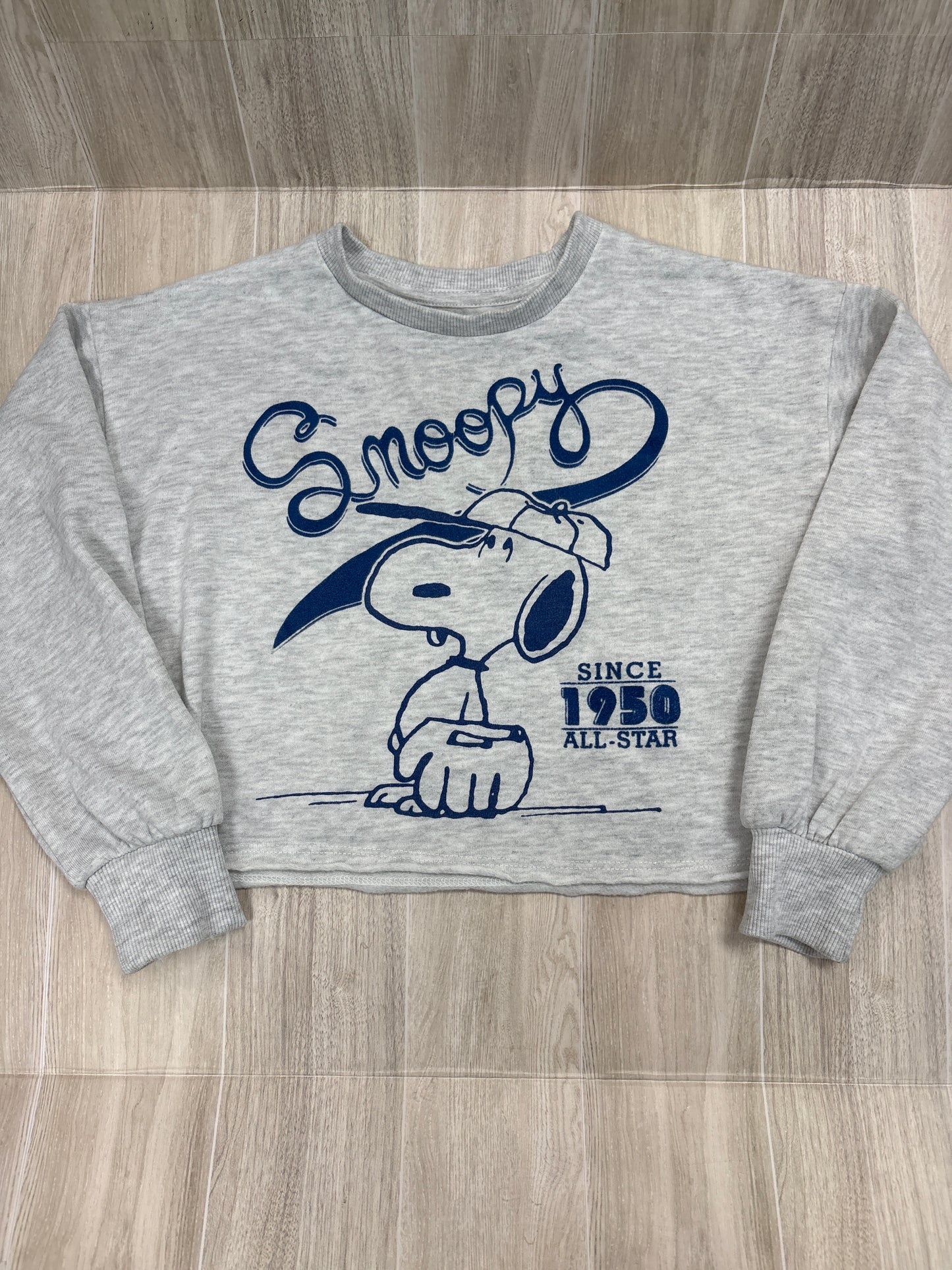 7 Light Grey Snoopy Cropped Crewneck