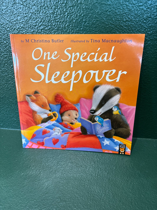 Book - One Special Sleepover