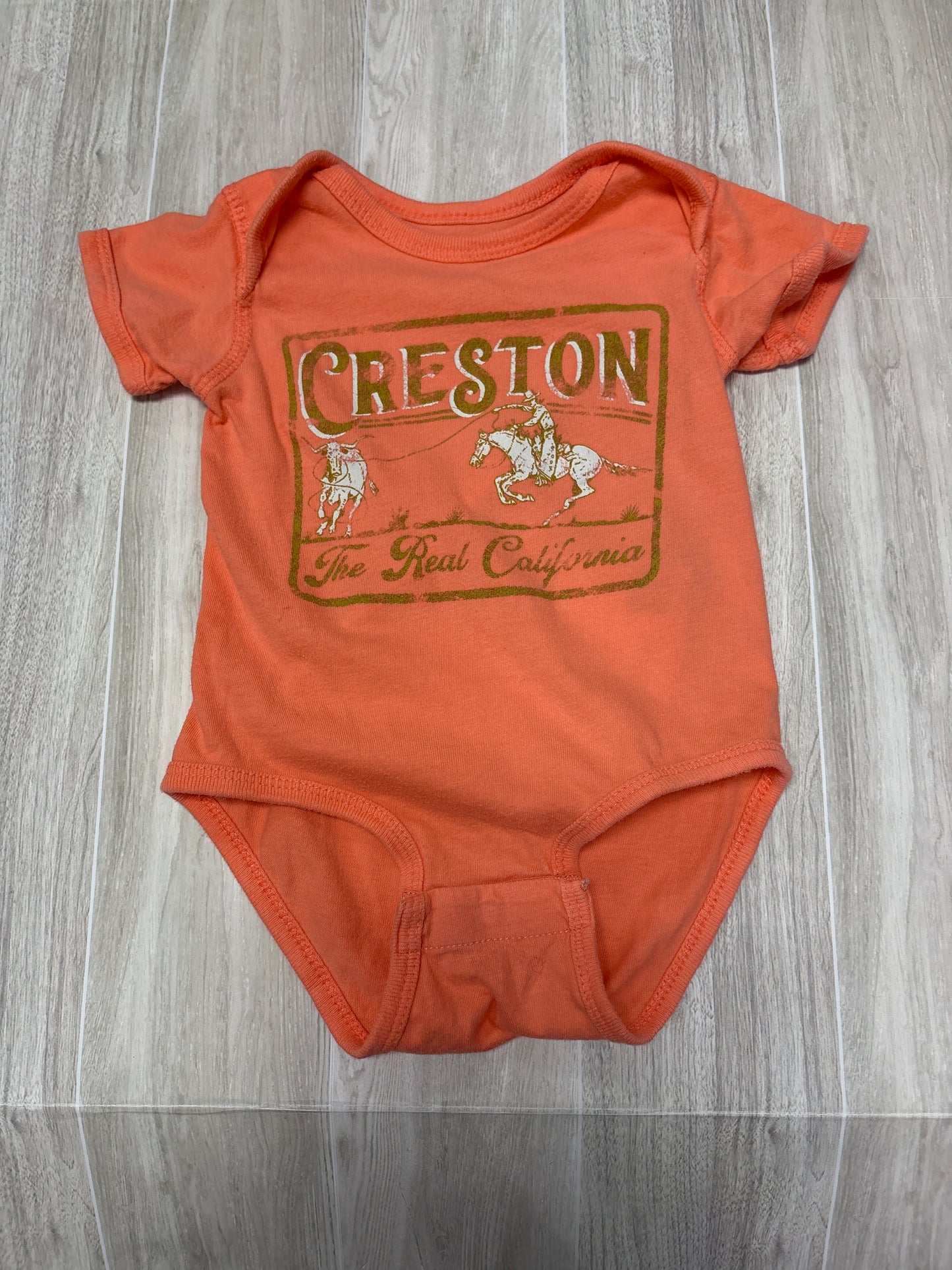 12m Creston Salmon Graphic Onesie