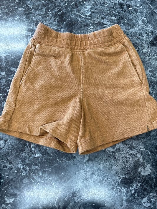 3T Camel Pull On Short