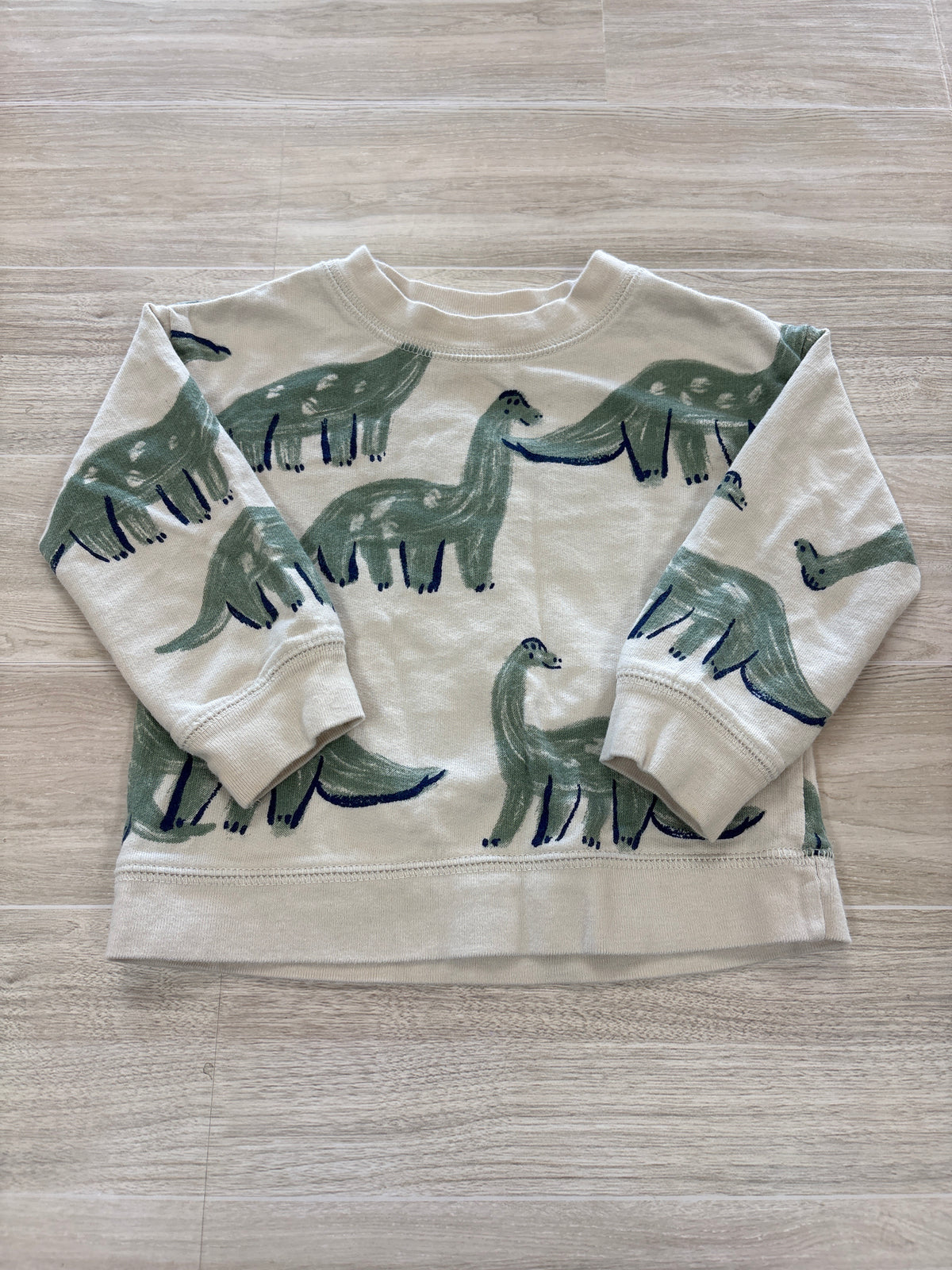 9m Cream Dino Crewneck