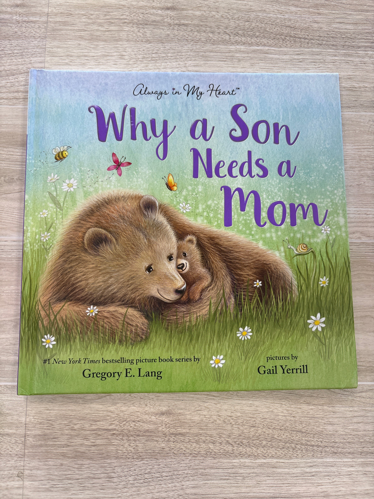 Book - Why a Son Needs A Mom