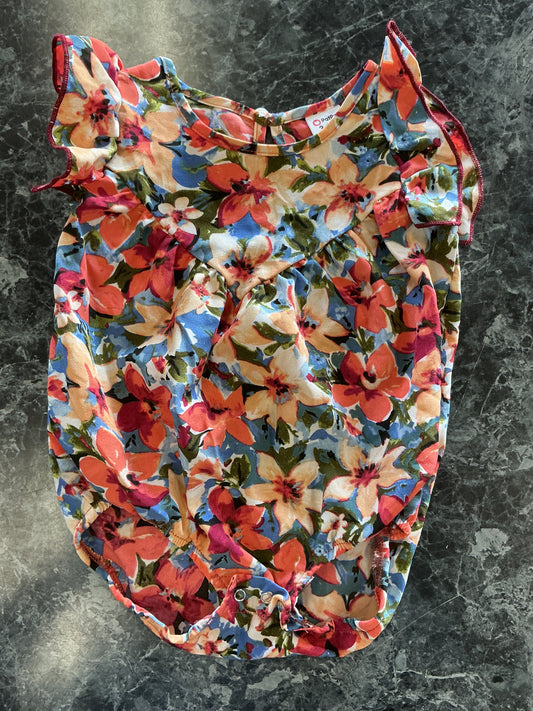 NWT 3-6m Floral Ruffle Romper
