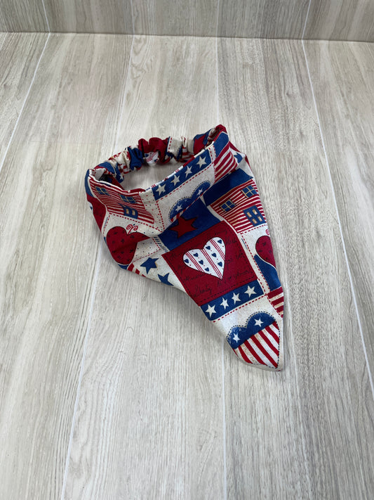 RWB Bandana Bib