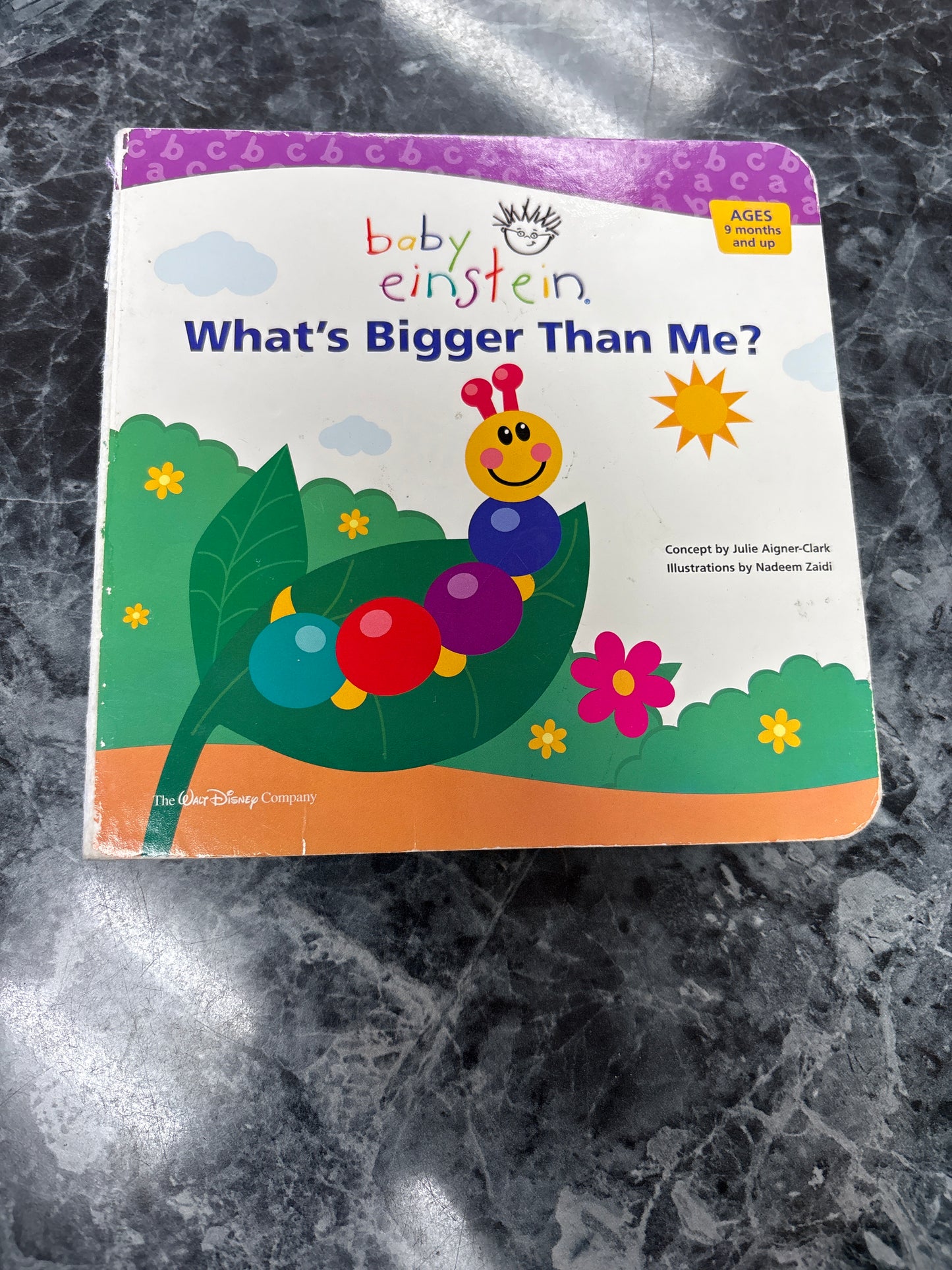 Book - Whats Bigger Than Me?