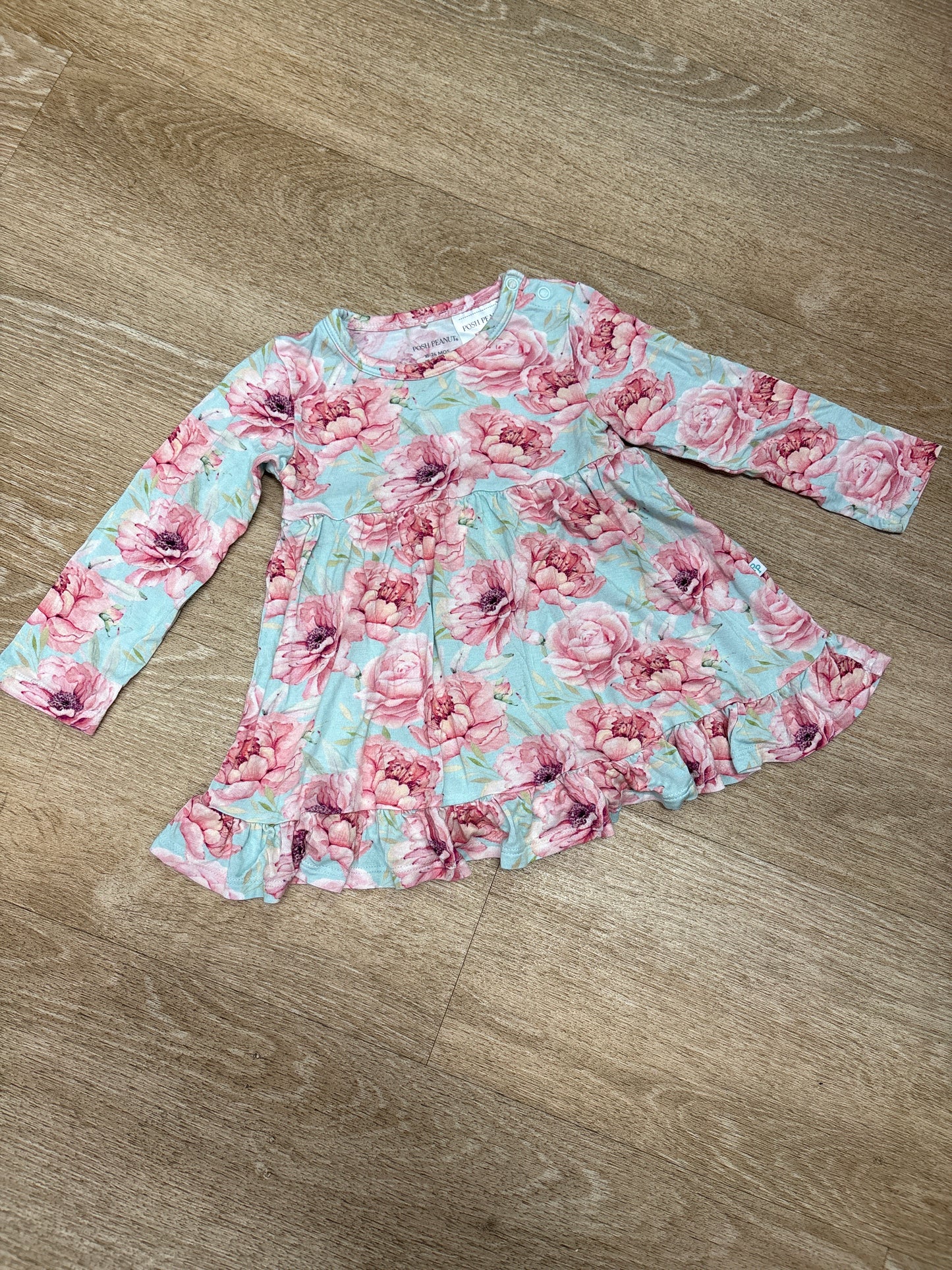 18-24m Posh Peanut Light Blue/Pink Longsleeve Bodysuit Dress