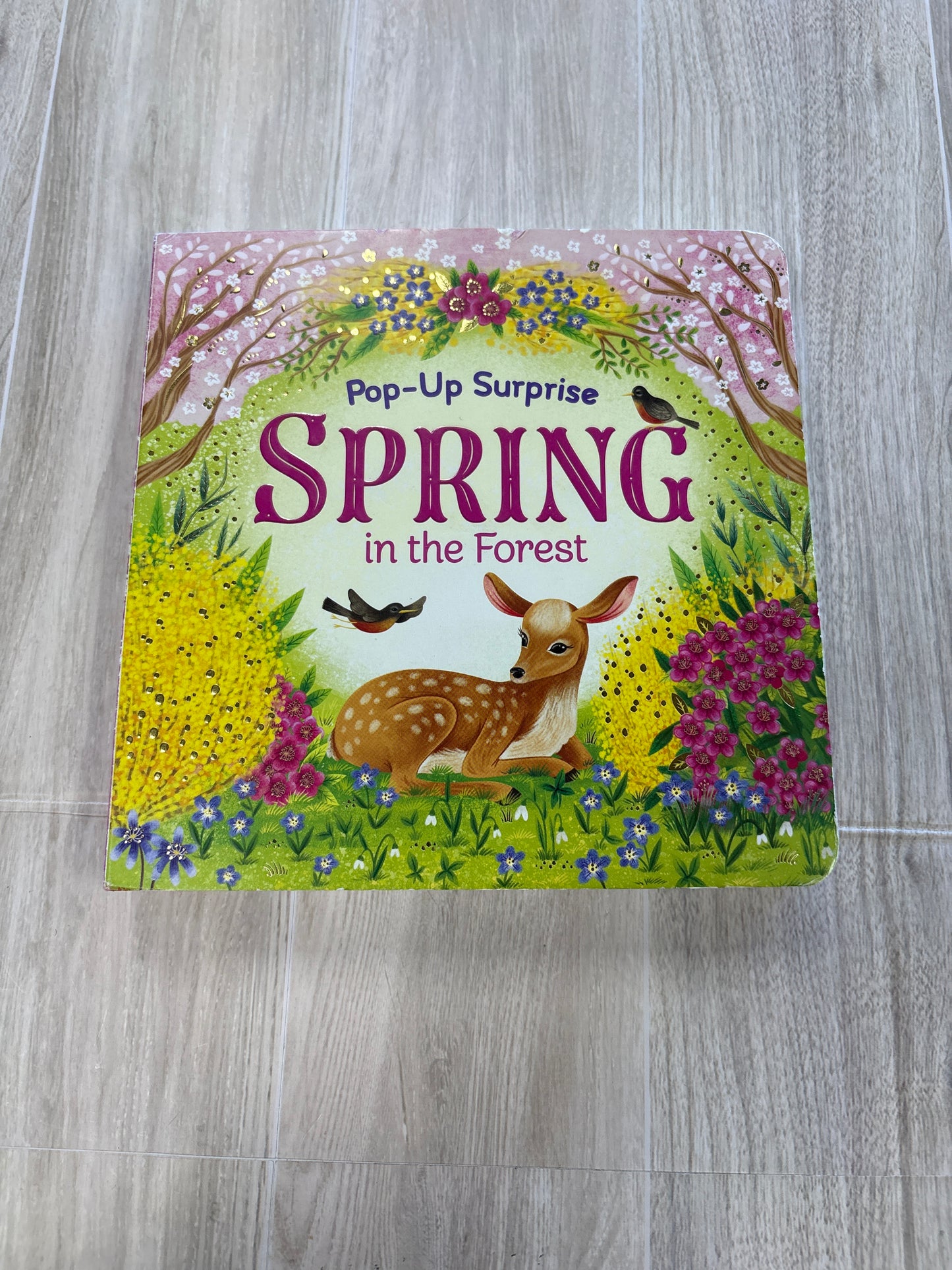 Book - Pop Up Surprise - Spring in the Forest