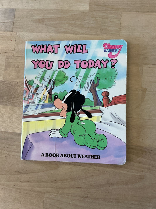 Vintage Book - What Will You Do Today