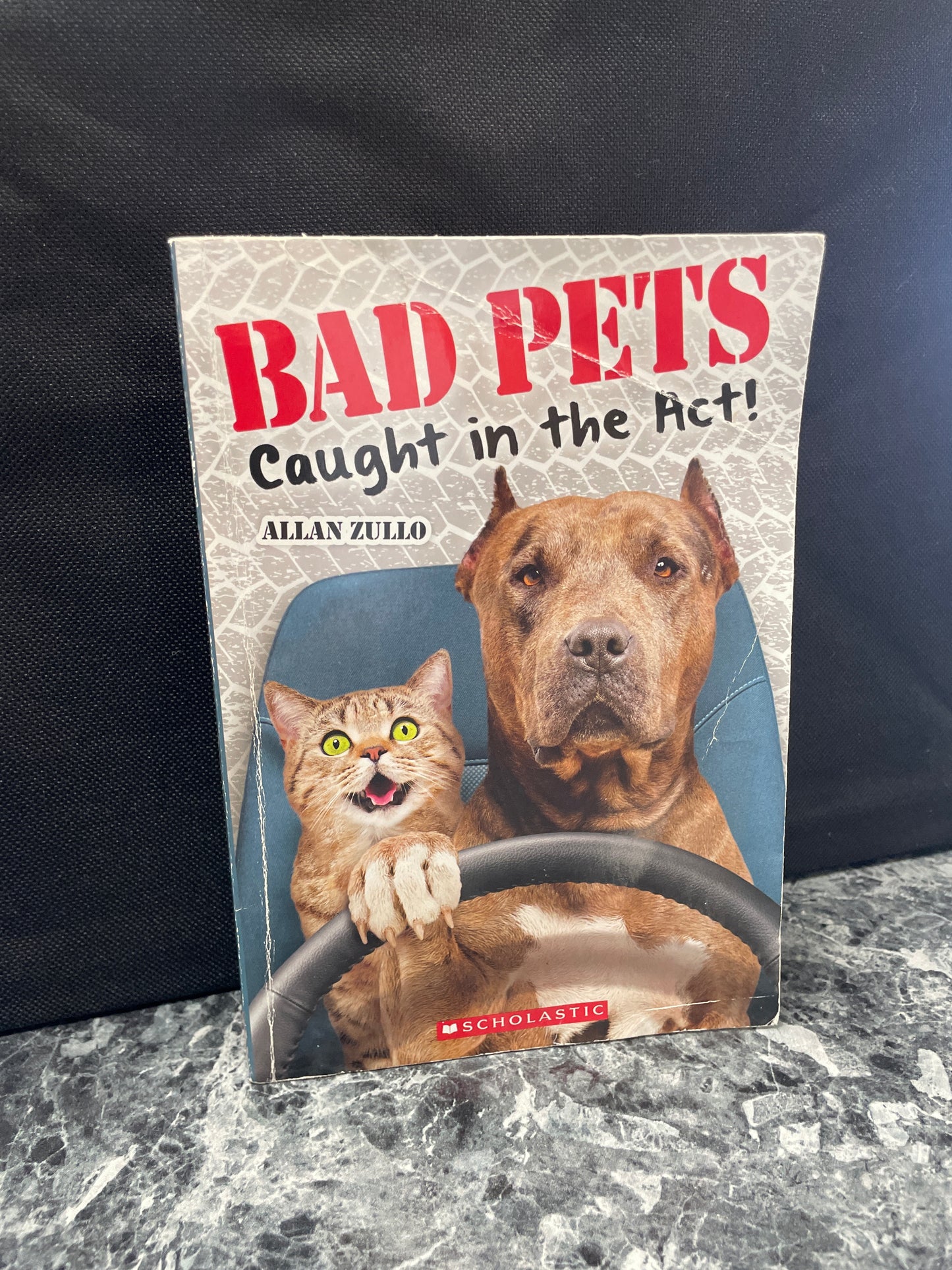 Book - Bad Pets Caught In The Act