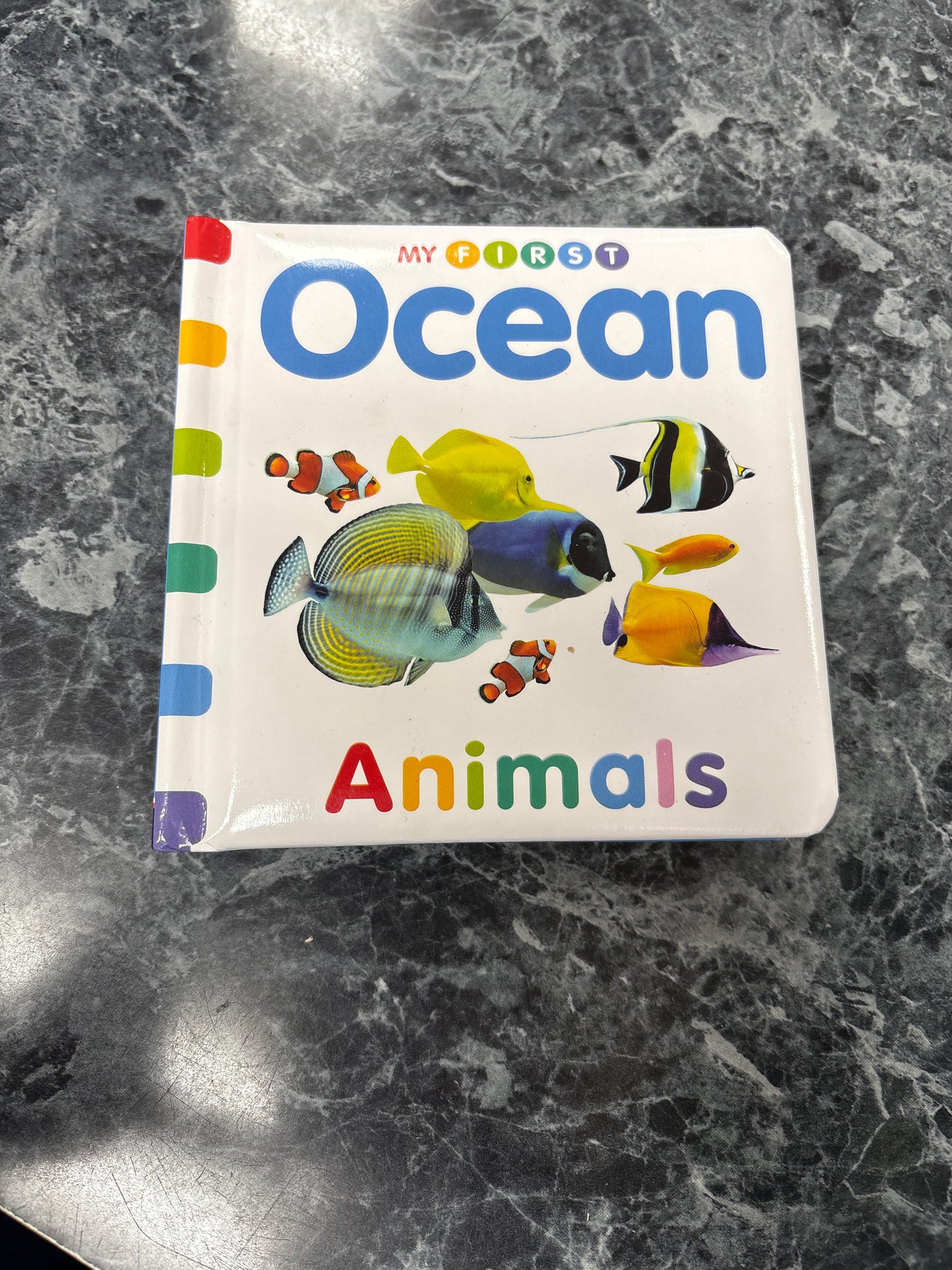Book - Ocean Animals