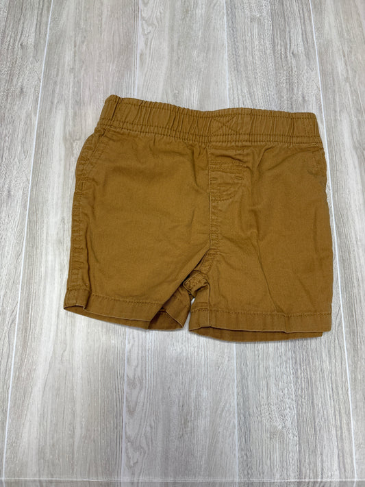 6m Camel Pull On Short